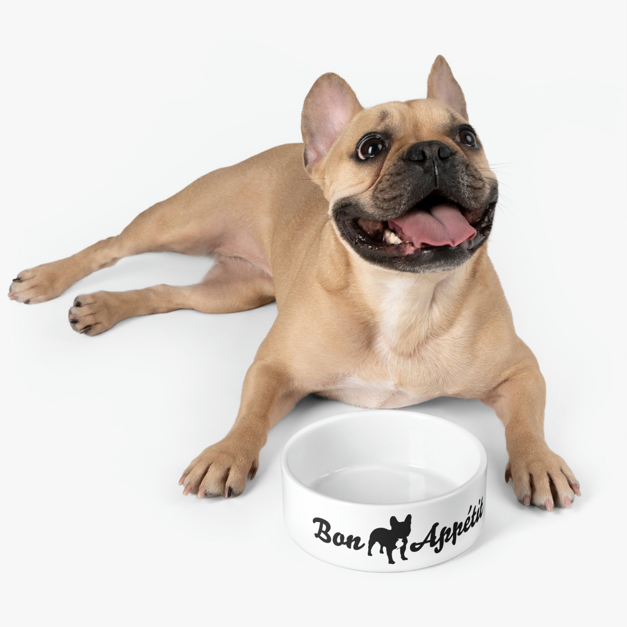 Frenchie dog bowl hotsell