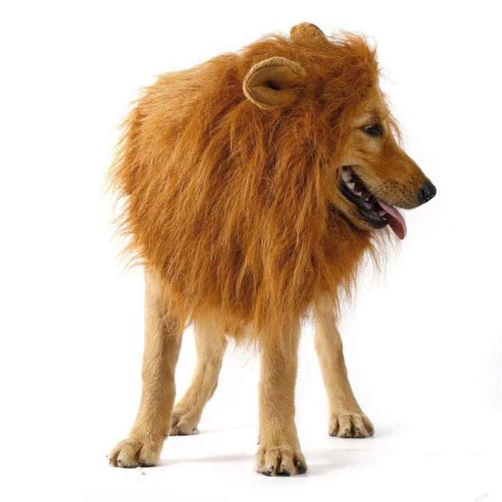 Unleash the Beast Roaring Lion Dog Wig